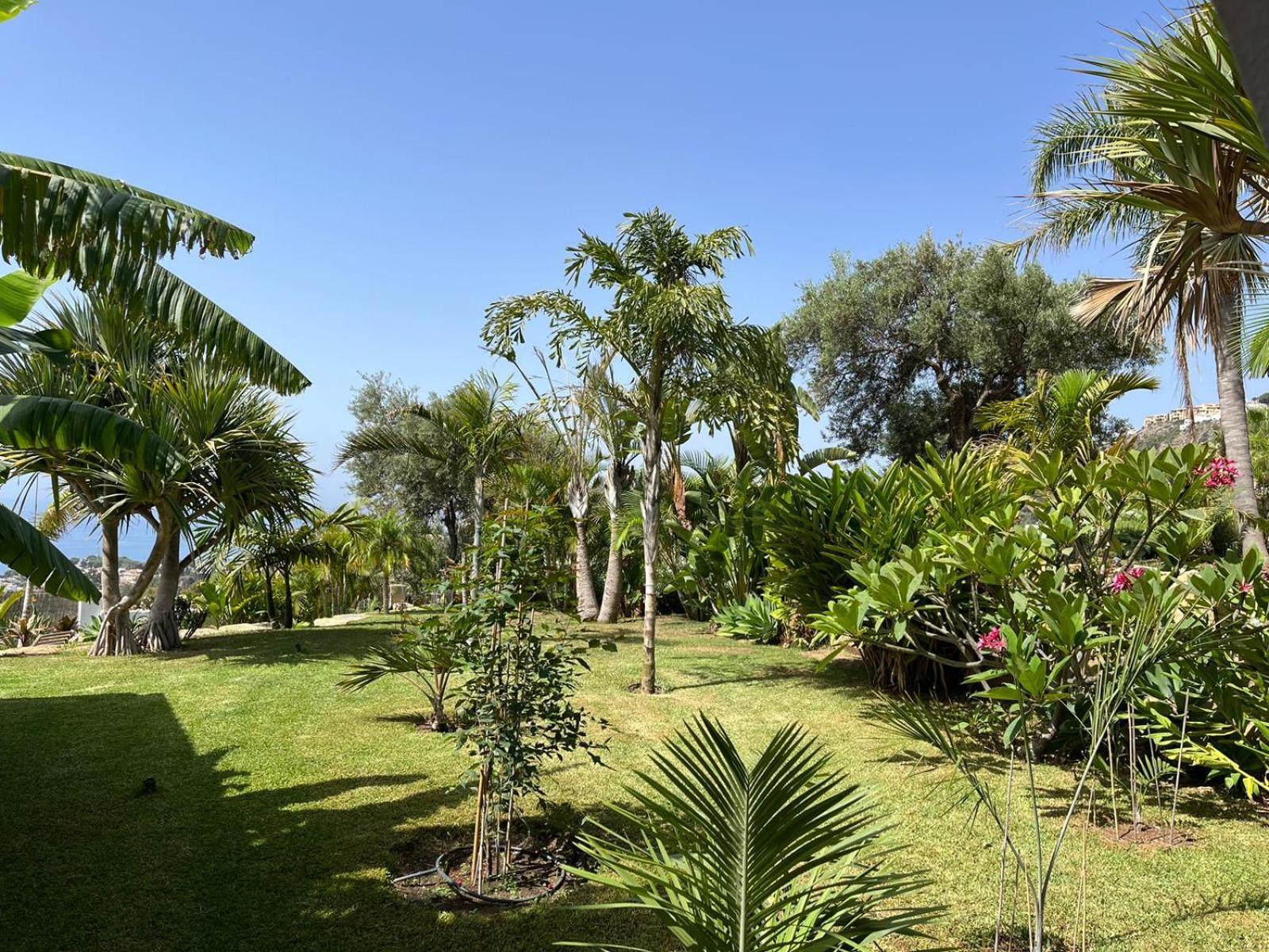 Bed & Breakfast In Villa Eden Palm Benalmádena Exteriör bild